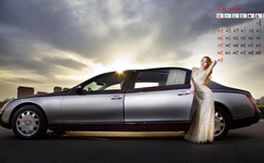 伦理爱情动作片大全